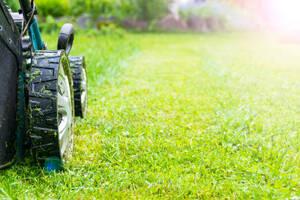 O que é irrigação gramado residencial?
