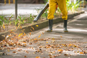 A jardinagem limpeza é um serviço muito importante para a imagem do ambiente