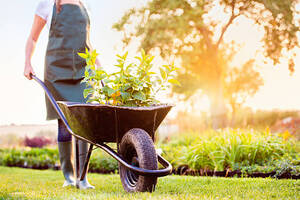 Qual a melhor manutenção de jardim preço?