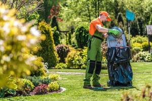 Como garantir o melhor preço manutenção jardim?