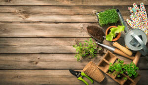 Como funciona a prestação de serviço de jardinagem?
