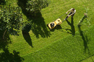 Qual a necessidade do serviço de corte de grama por jardineiros?