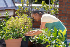 Conheça todas as etapas dos serviços de jardinagem em condomínios